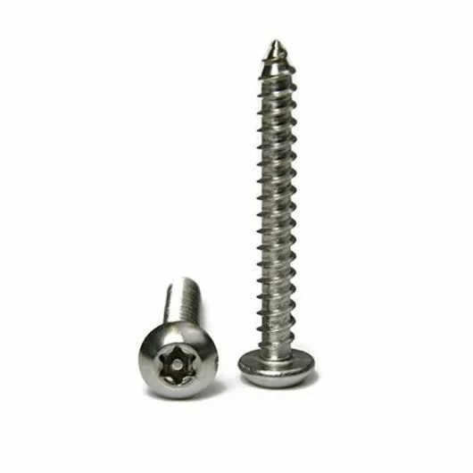 SS Security Screws T25