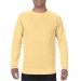 Adult T-Shirt Comfort Colors 1566 Butter Color