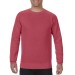 Adult T-Shirt Comfort Colors 1566 Crimson Color