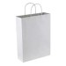 Paper Trade Show Bags
